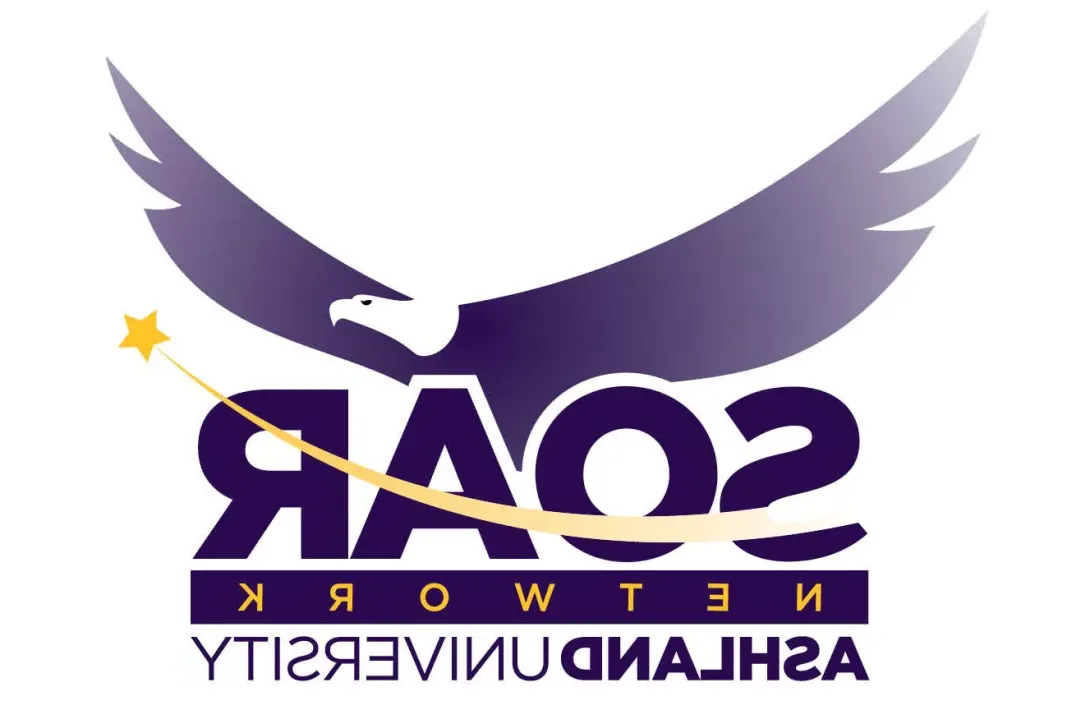 SOAR Network logo